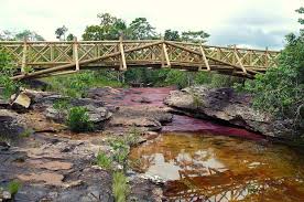 cristales colombia find the best tours