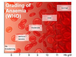 Anemia Facts Fnp Stuff Health Hematology Iron Levels Chart