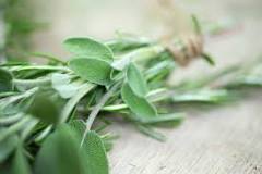 Can you substitute ground sage for fresh sage?