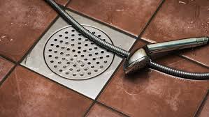clean your shower drain with a common