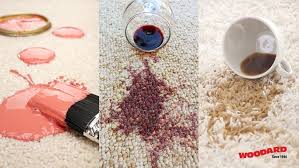 carpet stain removal guide