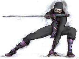 Résultat de recherche d'images pour "image ninja"