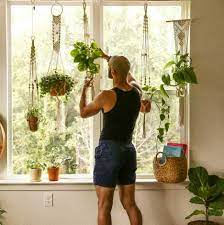 how to hang plant from ceiling without
