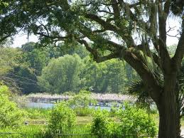 Browse venue prices, photos and 1 reviews, with a rating of 5.0 out of 5. Day Trip To Avery Island Review Of Jungle Gardens Avery Island La Tripadvisor