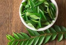 Can you eat raw curry leaves?