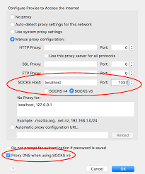 socks proxy on a linux server with ssh