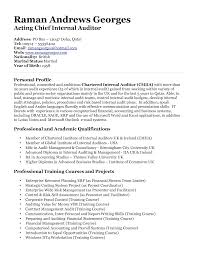 Example sales director CV 