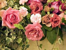 English Rose Wallpaper - Peach Flowers ...