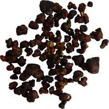 Magic truffles or psilocybe sclerotia from the psilocybe mexicana species. Buy Magic Truffles Usa And Magic Truffles For Sale With 30 Discounts
