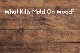 what kills mold on wood mold help