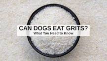 will-grits-hurt-dogs