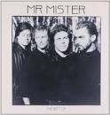 Best of Mr. Mister [Camden]