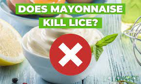 head lice and mayonnaise debunking the