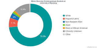 University Of Wyoming Diversity Racial Demographics Other