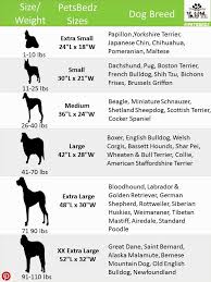 Mastiff Size Chart 2019