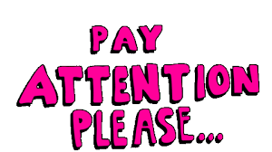 Pay Attention Please Sticker by deladeso for iOS & Android | GIPHY