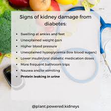 Oct 04, 2018 · find out everything you need to know about diabetes here. Renal Diabetic Diet What You Need To Know From A Renal Dietitian