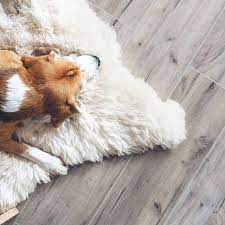 bixby knolls carpet