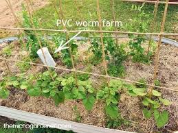 Is Pvc Plastic Safe To Use In An