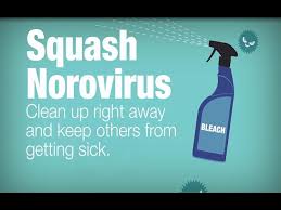 norovirus vomits or has diarrhea