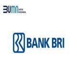 Pt bank rakyat indonesia (bank bri) perusahaan bumn yang terbesar di indonesia. Lowongan Kerja Bank Bri Agustus 2021