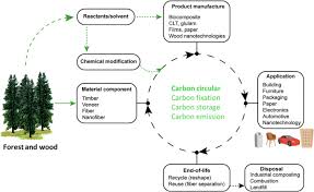 carbon storage and co2 capture