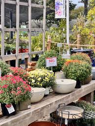 garden center this week agway of cape cod