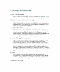 Organization Strategic Plan Template Strategic Plan Template Sample