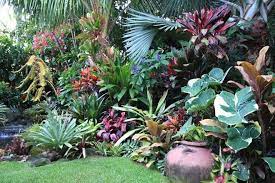 Dennis Hundscheidt Tropical Garden