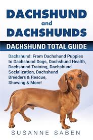 dachshund and dachshunds ebook by