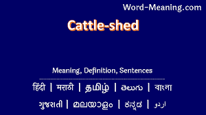 cattle shed meaning in marathi cattle