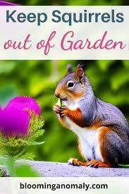 Keep Squirrels Out Of Your Garden
