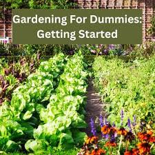 Gardening For Dummies Getting Started