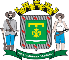 Resultado de imagem para brasão prefeitura aparecida de goiânia go