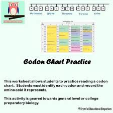 Codon Chart Practice By Erynns Education Emporium Tpt