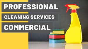commercial ads home cleaning services
