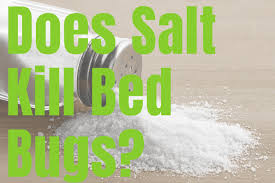 does salt kill bed bugs alienwerks