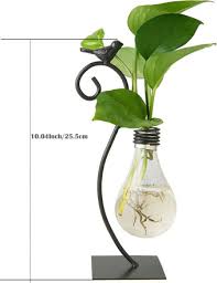 desktop glass planter hydroponics vase