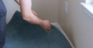 does ers insurance cover carpet damage