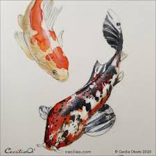1976 pencil and colored pencil on. Koi Fish Watercolor Tutorial How To Paint Vibrant Movement Cecilie Okada Design