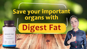 digest fat launch symptoms of