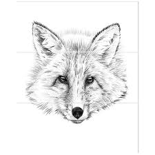 Buy your white pouches online here at white pouch. East Urban Home Pencil Fox Sketch In Black And White Drawing Print Multi Piece Image On Canvas Wayfair