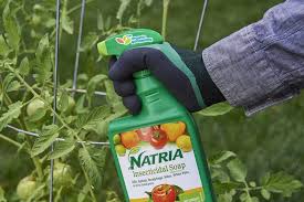 the best insecticide for vegetable