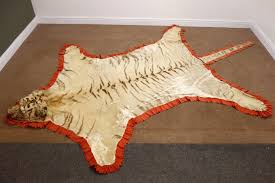 early 20th century tiger skin rug with