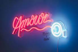 neon signs led neon signs andre saraiva