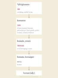 Human Origin And Meaning Of Human By Online Etymology