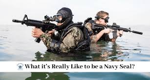 life as a navy seal empire resume