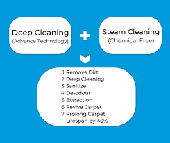 dual c carpet cleaning steam sanitize