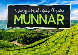 Image result for Munnar