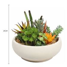 succulent bowl with natural stone pot